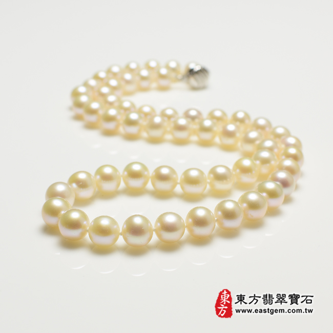 白珍珠項鍊(白珍珠珠子，珠徑約0.8mm，MWB018) 客製化設計各種白珍珠珠串、白珍珠珠子、白珍珠項鍊、白珍珠手珠。★附東方翡翠寶石保證卡商品圖