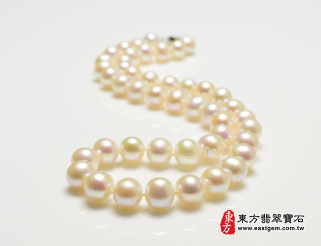 白珍珠項鍊(白珍珠珠子，珠徑約0.85mm，MWB011) 客製化設計各種白珍珠珠串、白珍珠珠子、白珍珠項鍊、白珍珠手珠。★附東方翡翠寶石保證卡