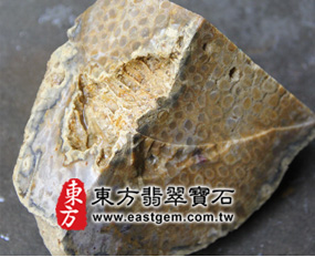 菊花石(Chrysanthemum stone)