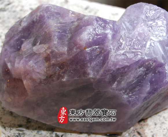 獅子背面的照片，可以看出獅子的耳朵和尾巴都有輪廓看見