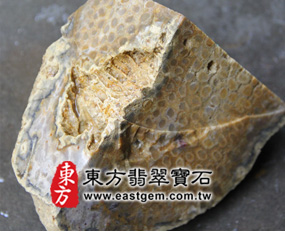 菊花石(Chrysanthemum stone)實圖 菊花石(Chrysanthemum stone)
