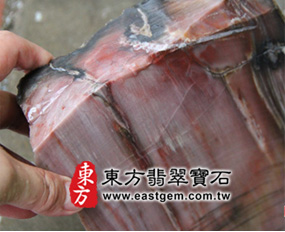 木化石(Petrified wood) 實圖 木化石(Petrified wood)